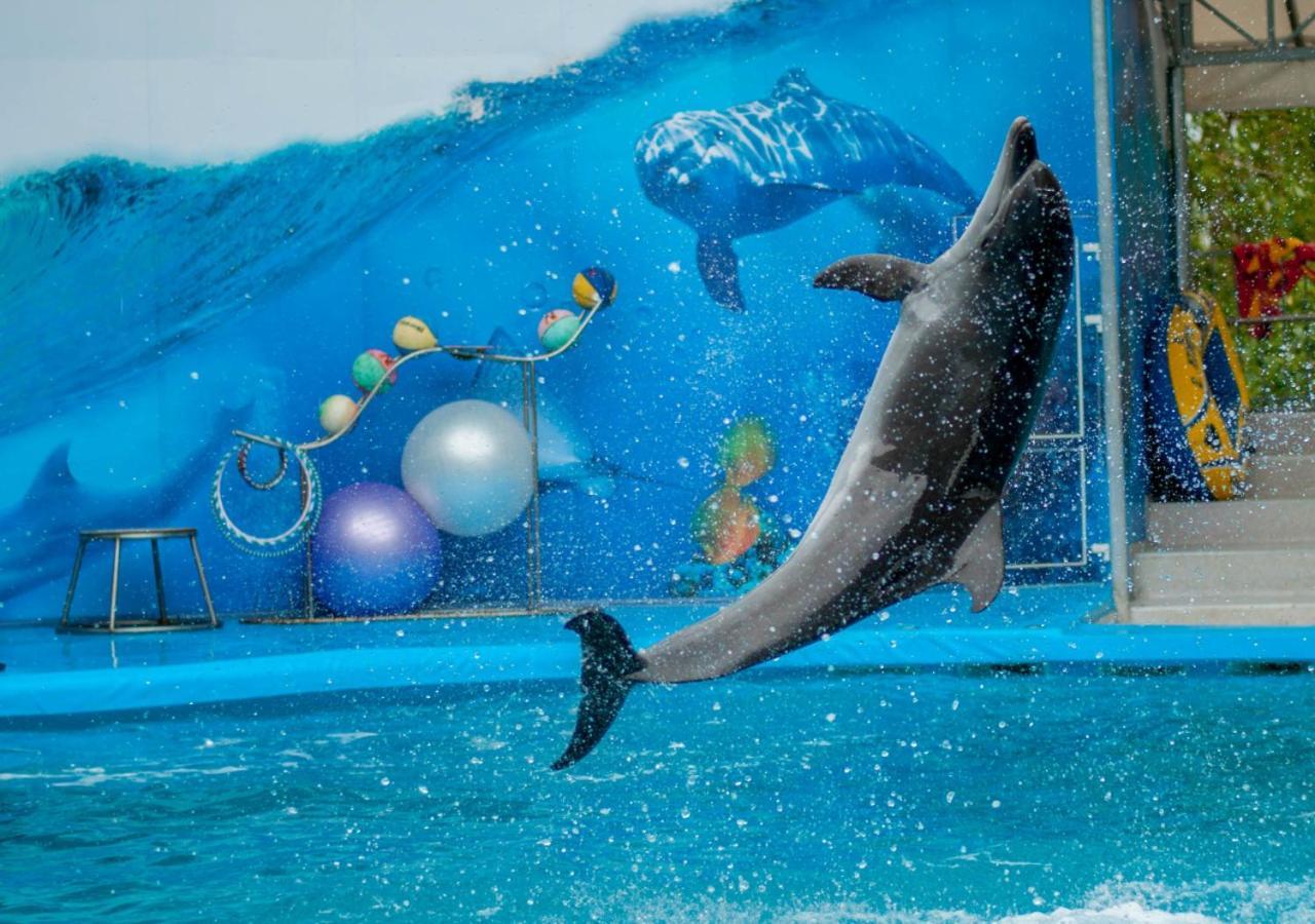 Moevenpick Hotel Apartments Al Mamzar Dubai Exterior foto Dolphin show at the park